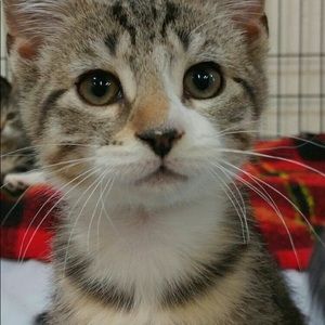 Meet your Posher, Joelle